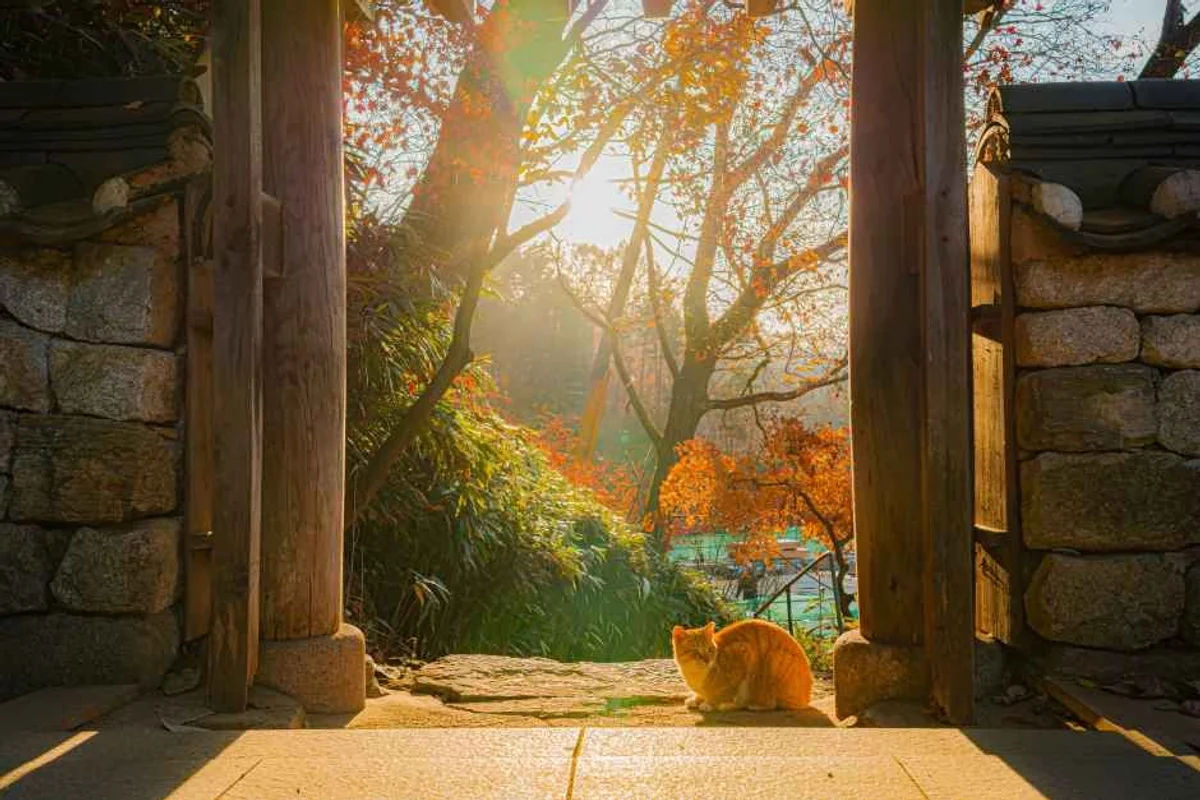 아쿠아플라넷 일산 - 고양여행 여행