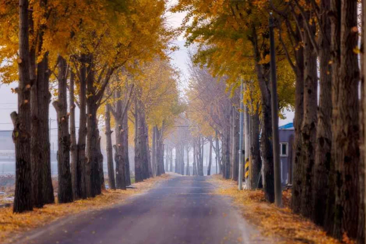 안성 산책로 (출처 : 한국관광공사)