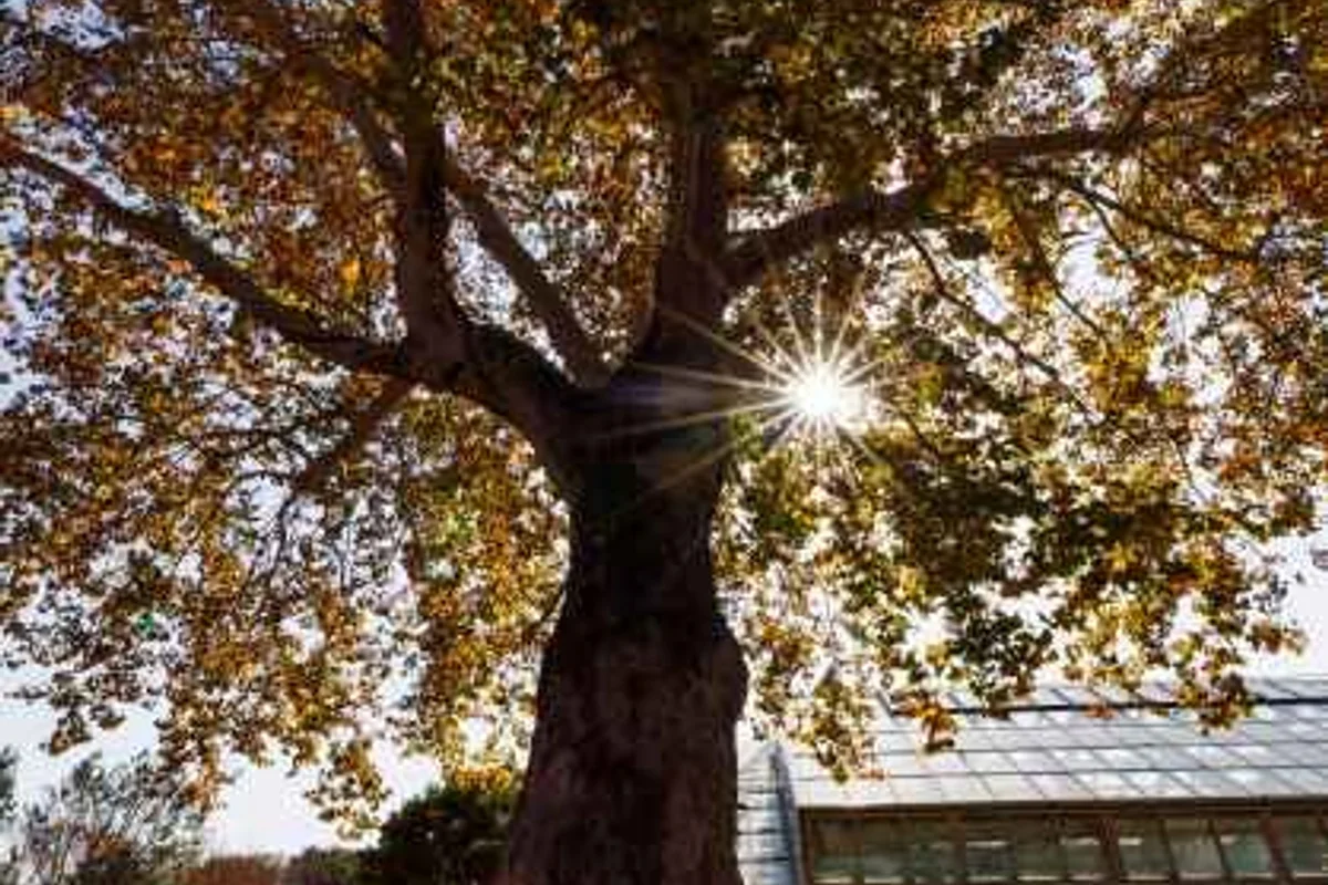 춘천 삼악산 호수케이블카 의암호정차장 - 춘천여행 여행