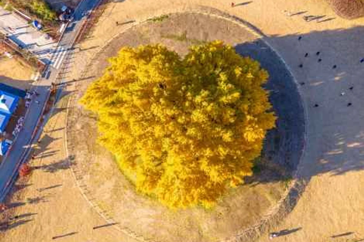 소금산그랜드밸리 - 원주여행 여행