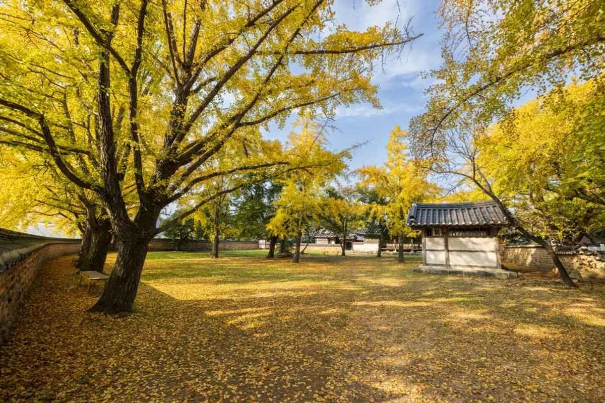 비체팰리스 - 보령여행 여행