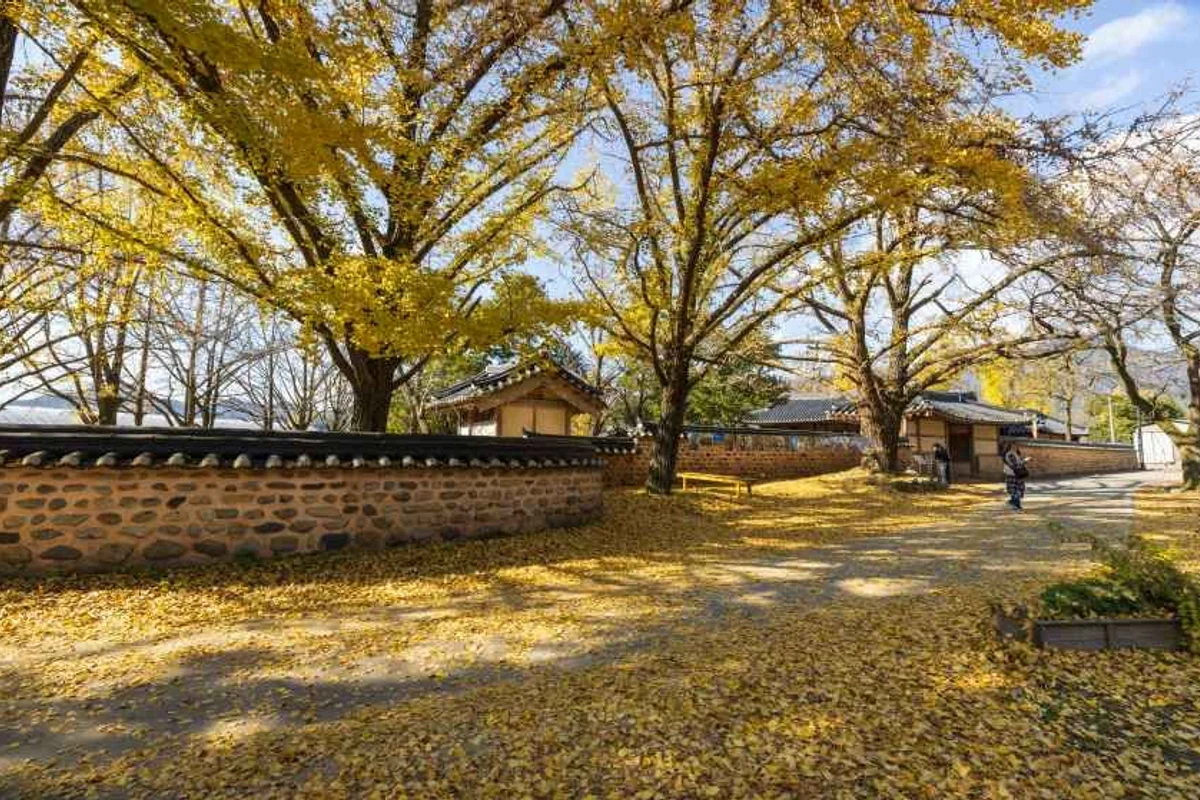 죽도 상화원 - 보령여행 여행