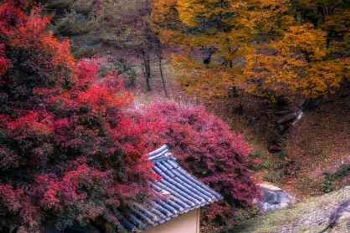 고복저수지 - 세종 여행