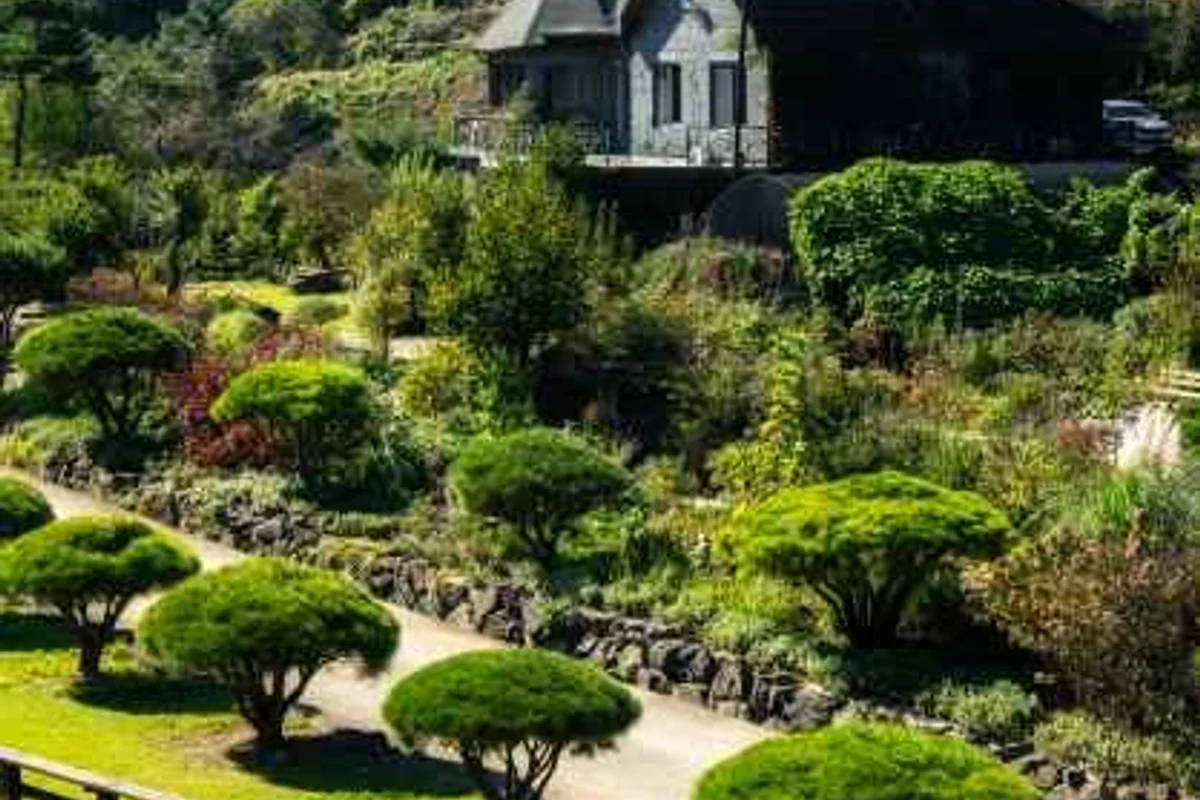 옥천 자전거길 - 옥천여행 여행