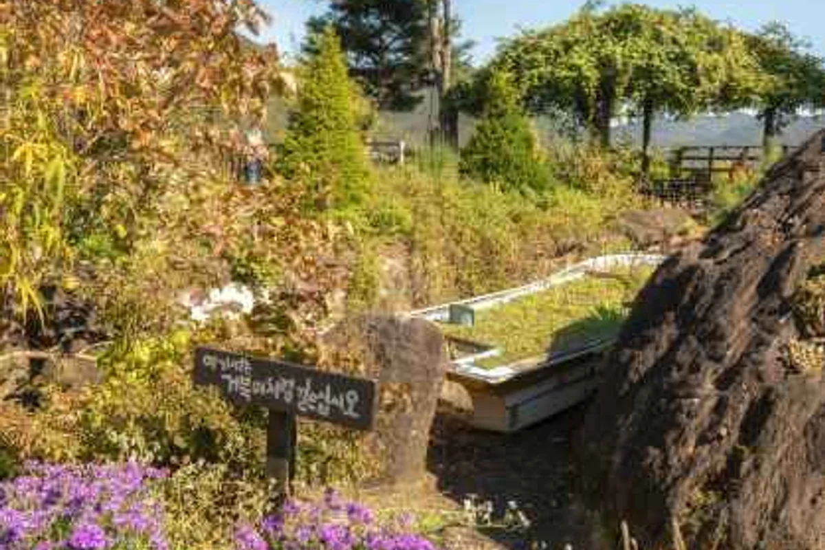 옥천묘목공원 - 옥천여행 여행