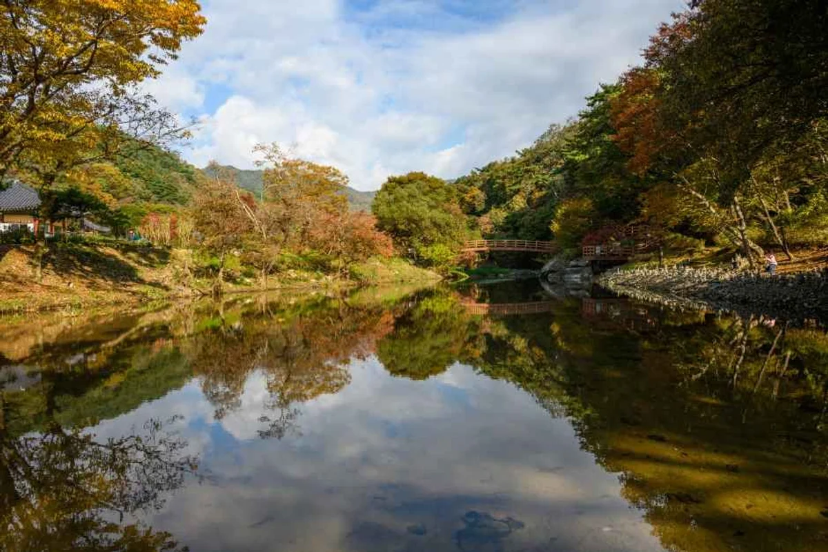 공주보인증센터 - 공주여행 여행