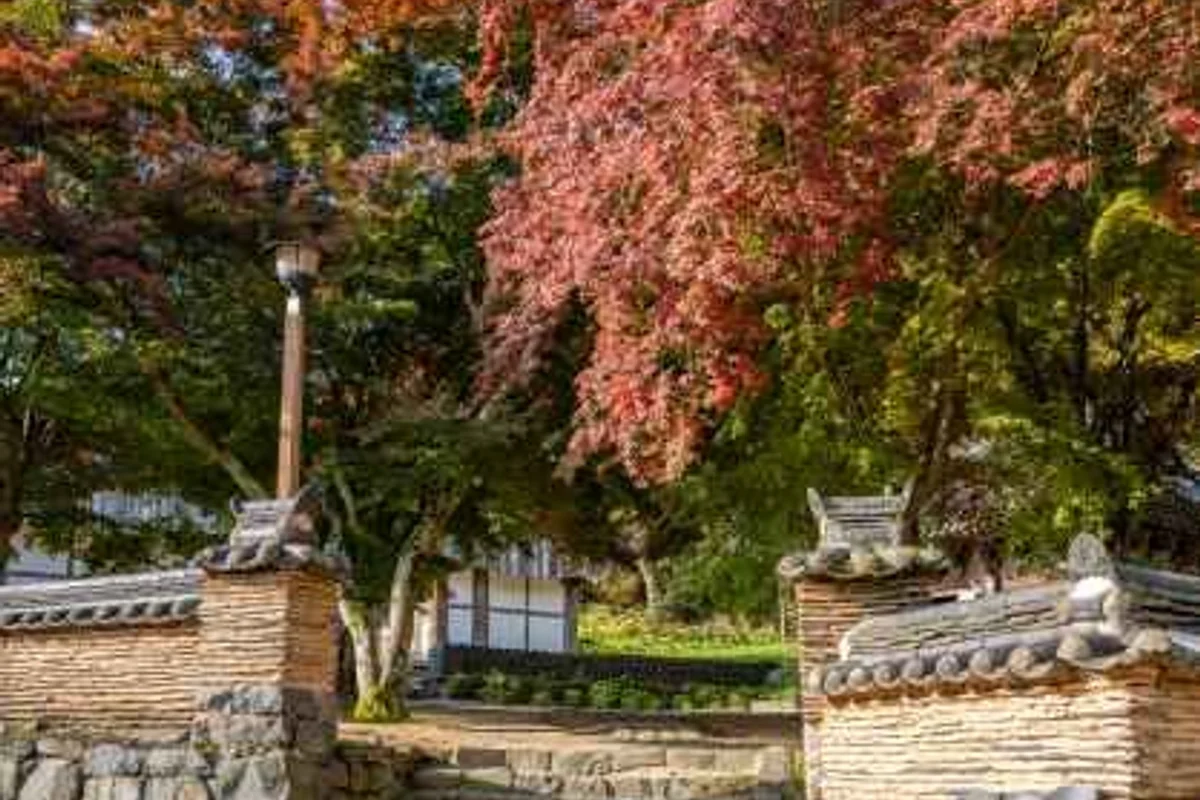 스테이인터뷰 빌라 드 우 - 공주풀빌라 여행