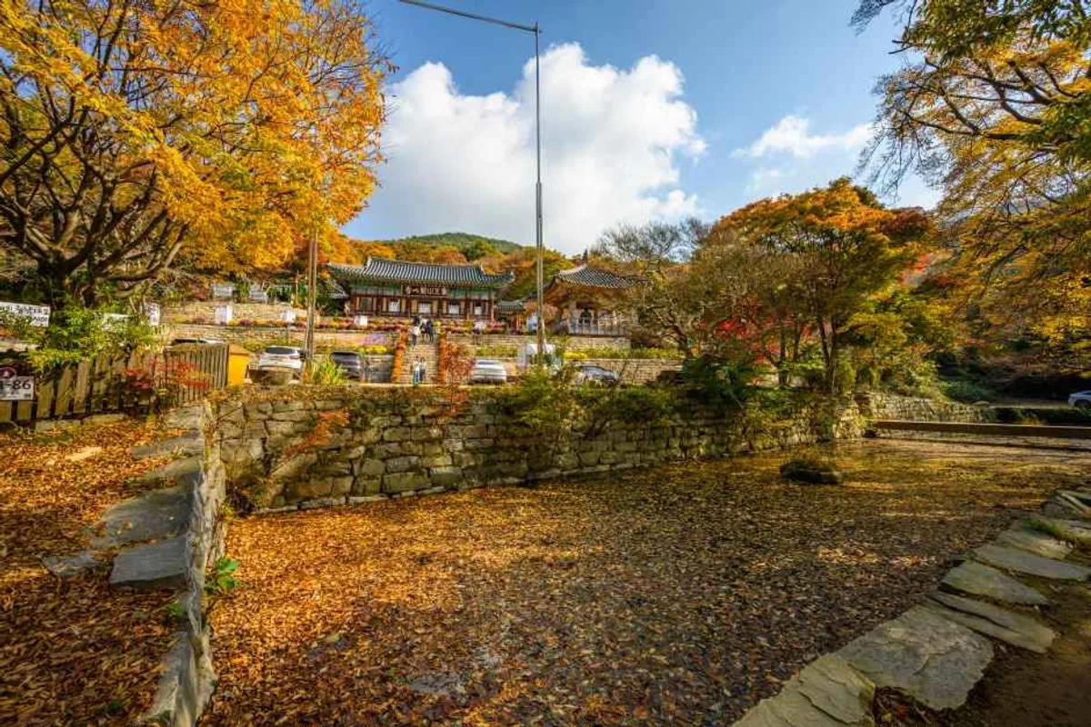 개심사 - 서산여행 여행