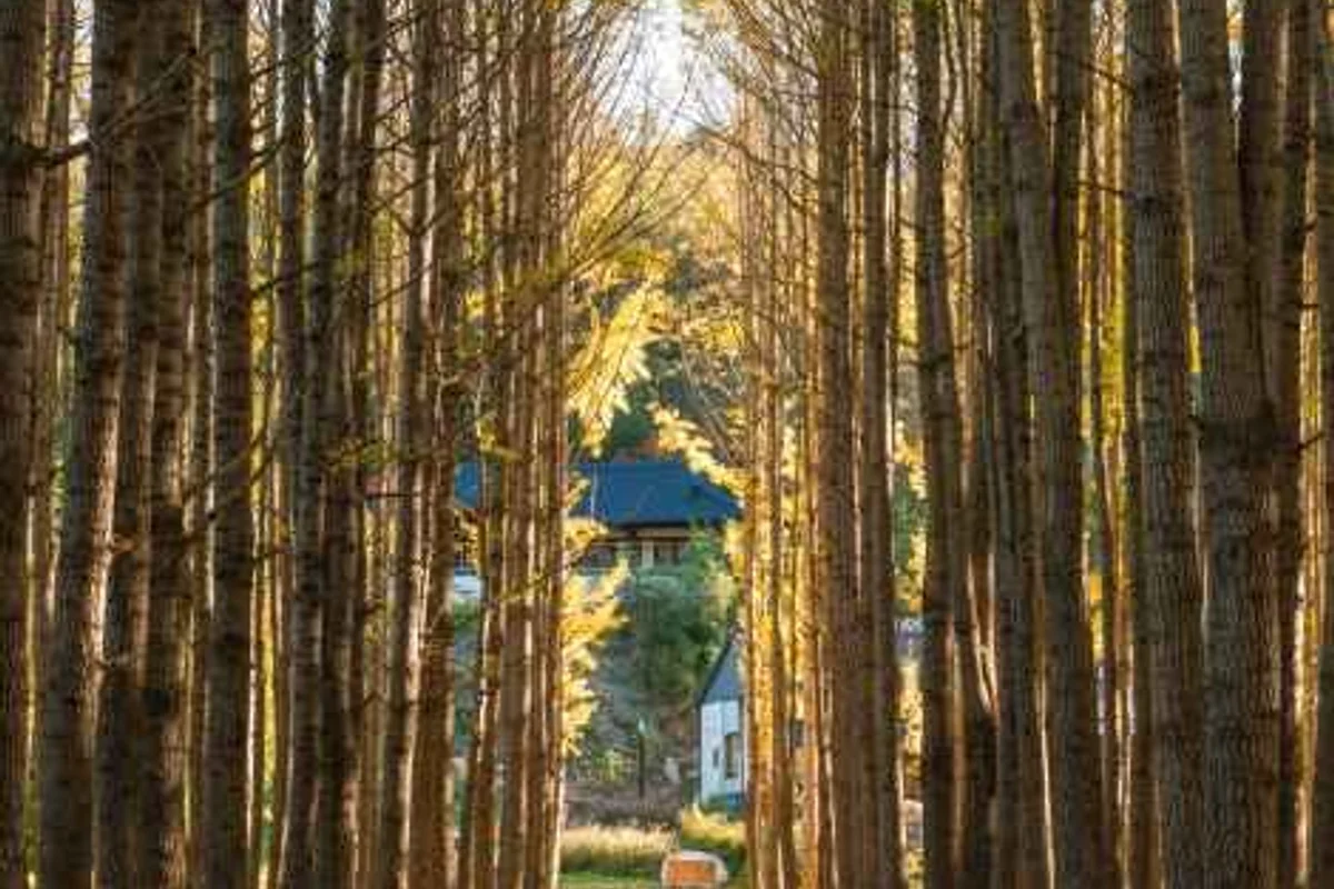 경주 2 박 3 일 여행 코스 (출처 : 한국관광공사)