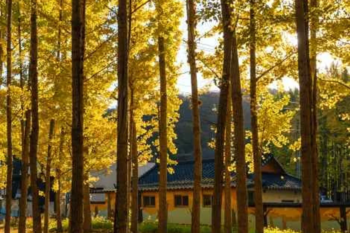 키덜트뮤지엄 - 경주여행 여행