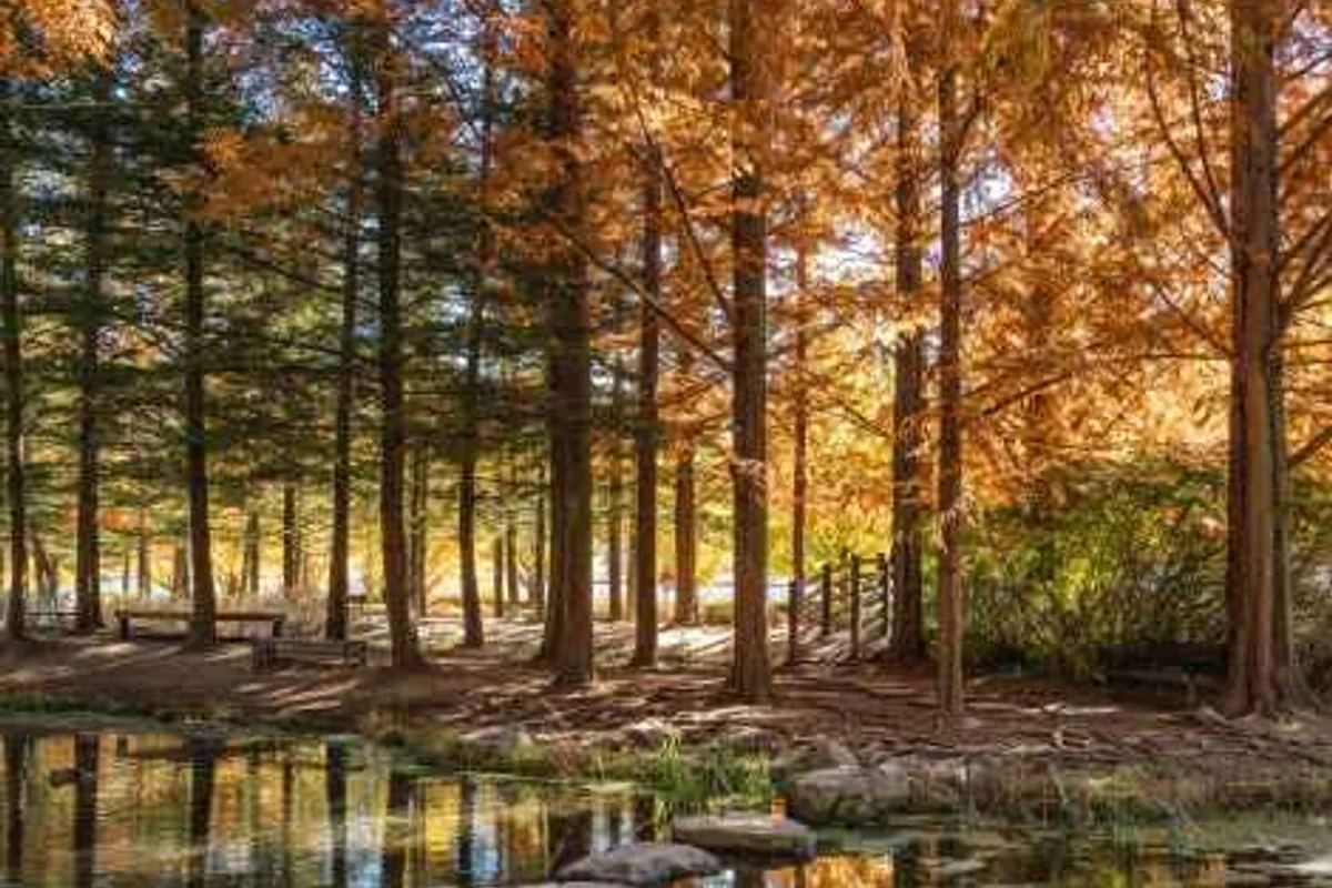 천연기념물센터 - 한밭수목원 여행