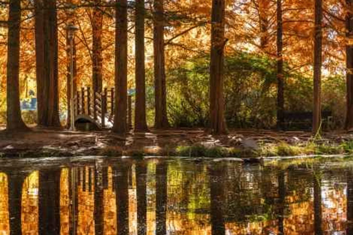 이응노미술관 - 한밭수목원 여행