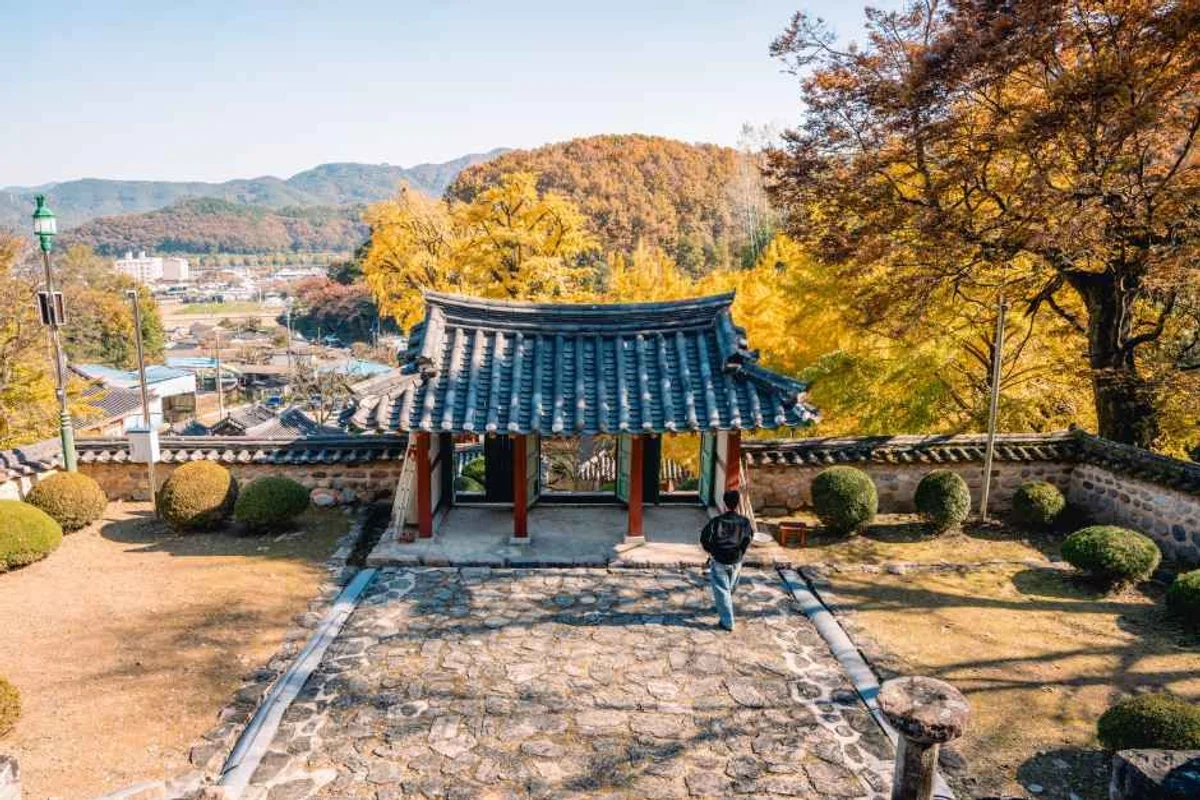 피카그린 - 함안여행 여행