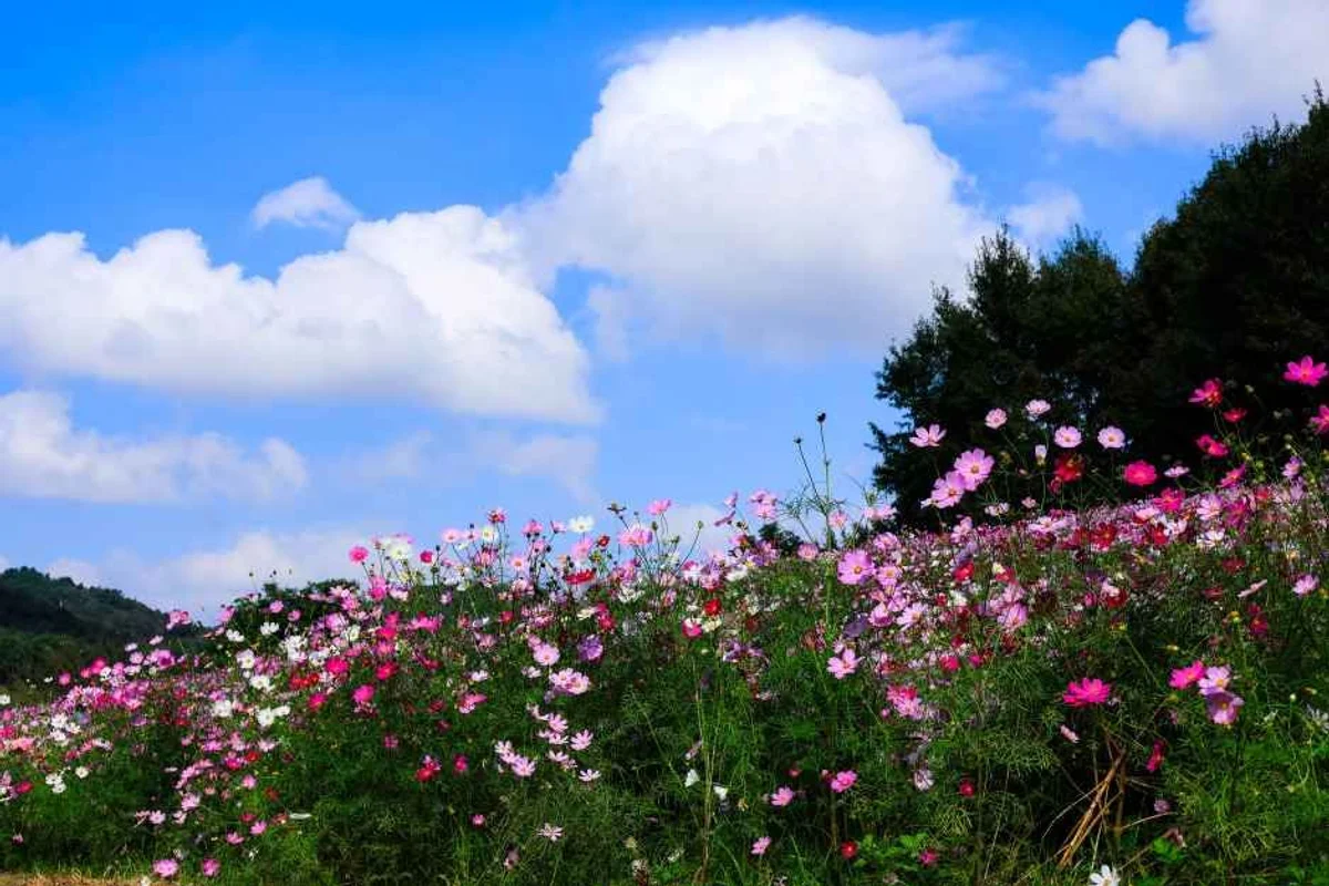 무안군 단체 여행 (출처 : 한국관광공사)