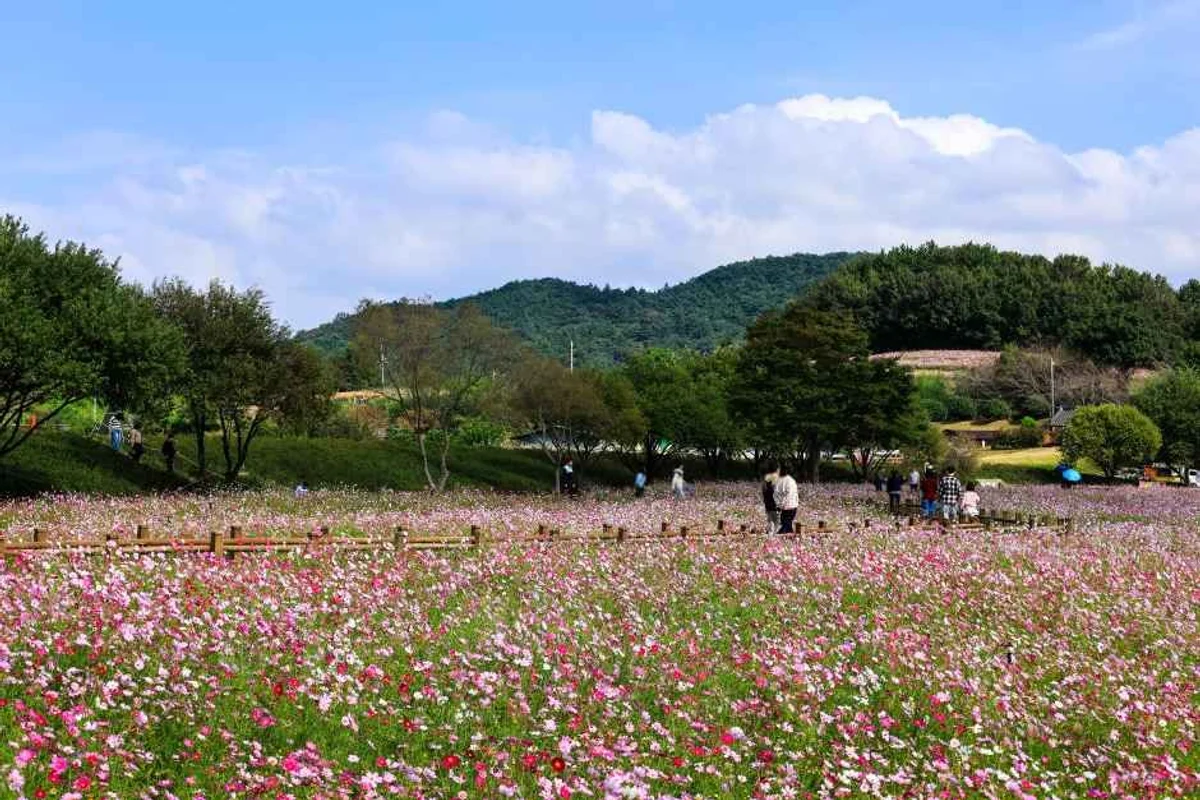 톱머리해수욕장 - 무안군 여행