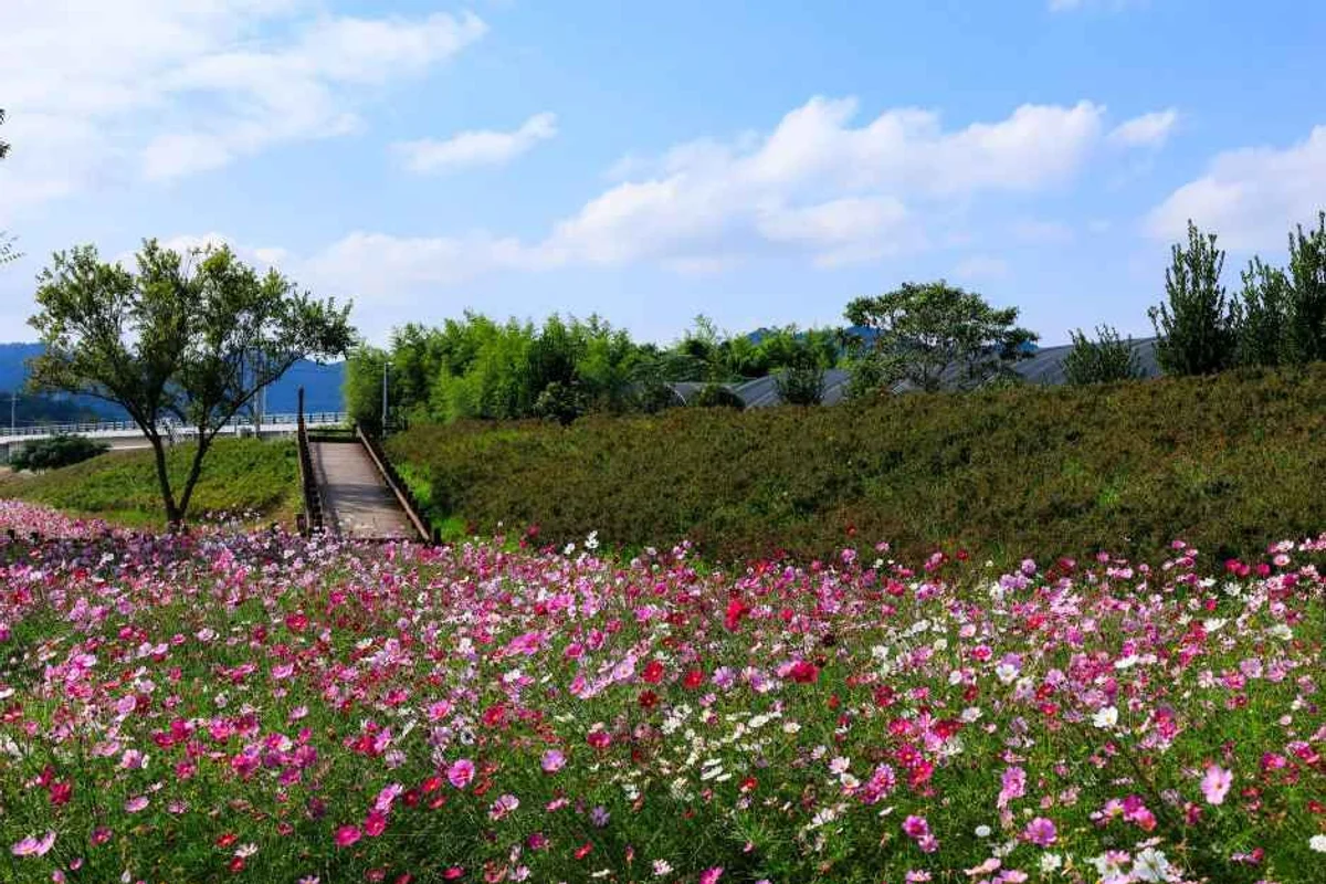 남악중앙공원 - 무안군 여행