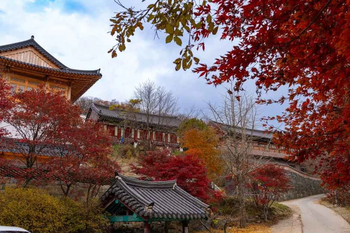 안국사 - 덕유산 여행