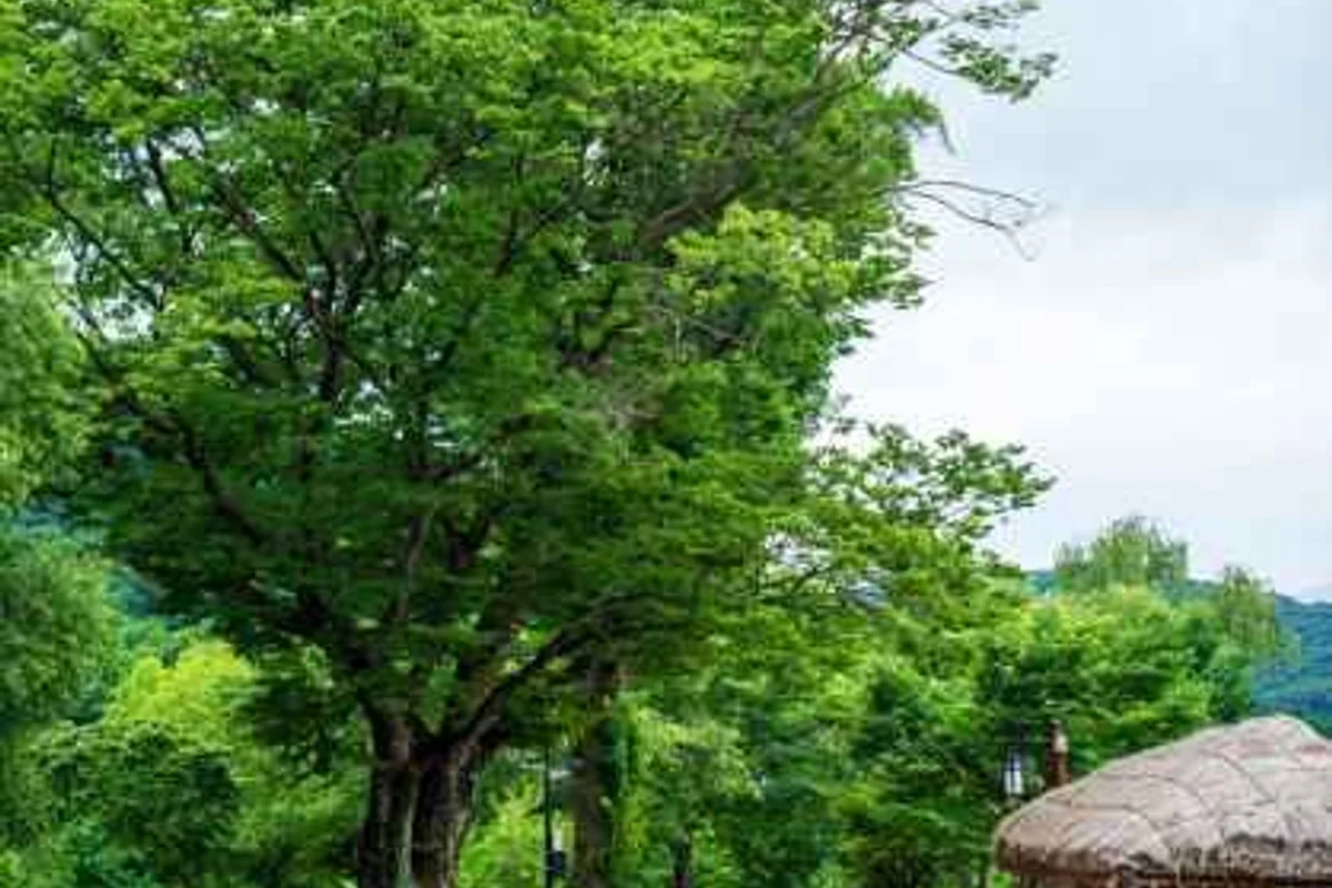 외암민속마을 모텔 (출처 : 한국관광공사)