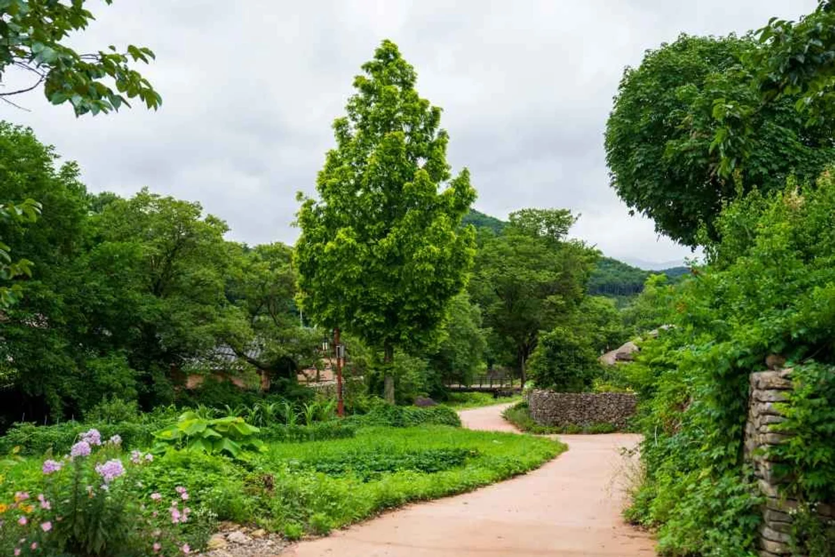 외암민속마을 모텔 추천 및 주변 숙소 - 외암민속마을 여행