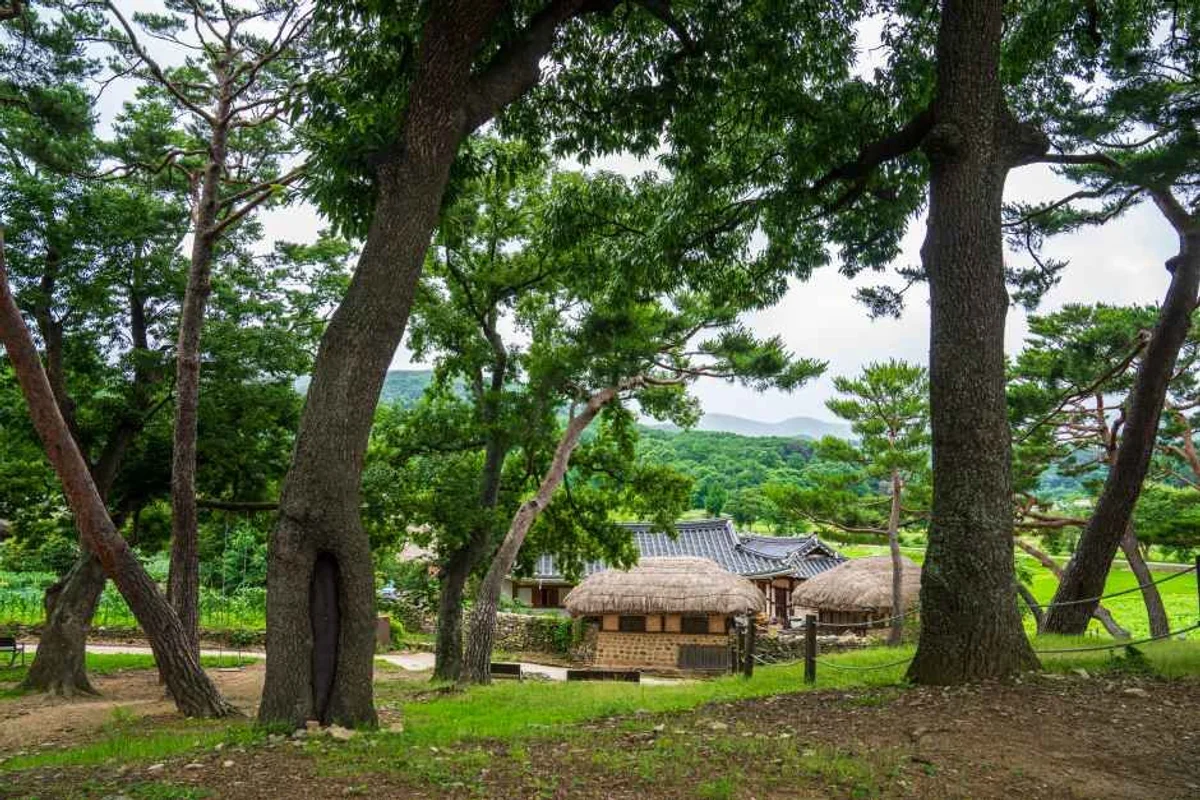 외암민속마을 - 외암민속마을 여행