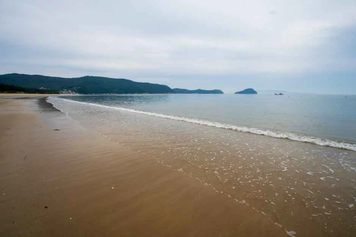 명사십리해수욕장 - 완도군 여행