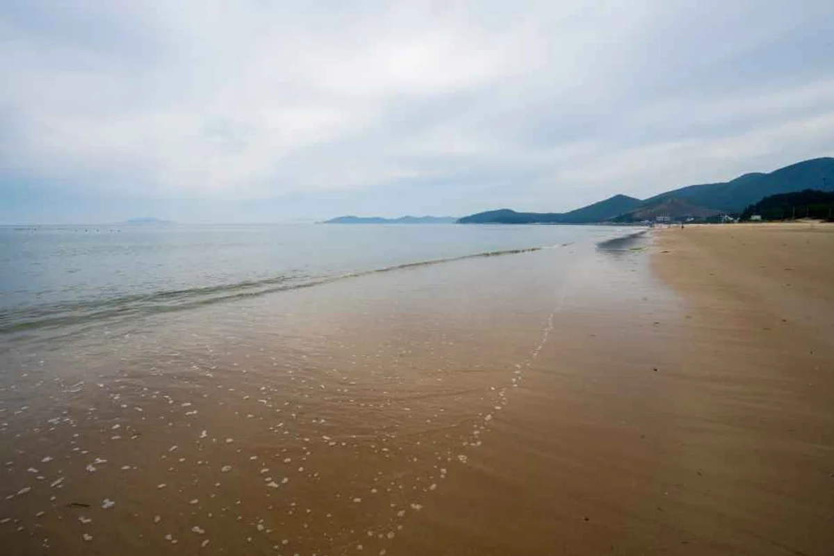 남해 상상양떼목장 편백숲 - 남해여행 여행