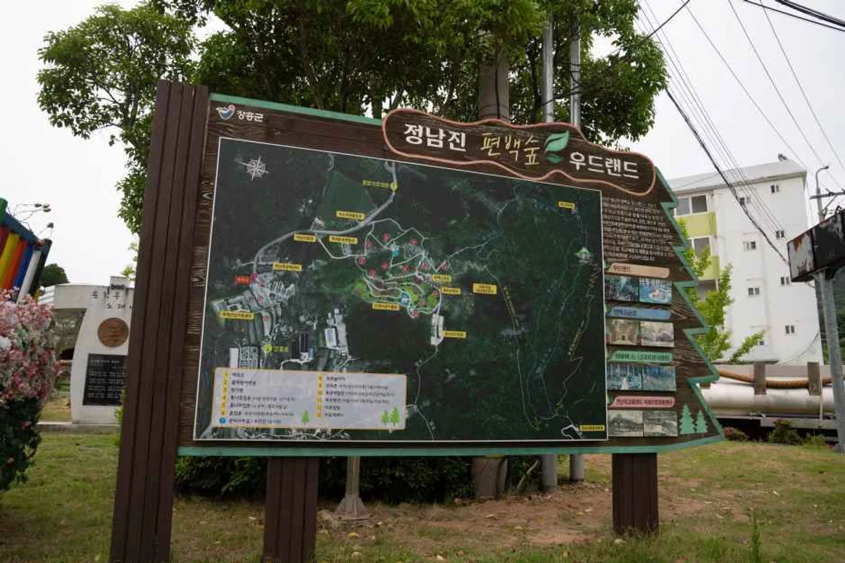 남산공원 - 장흥군 벚꽃 여행