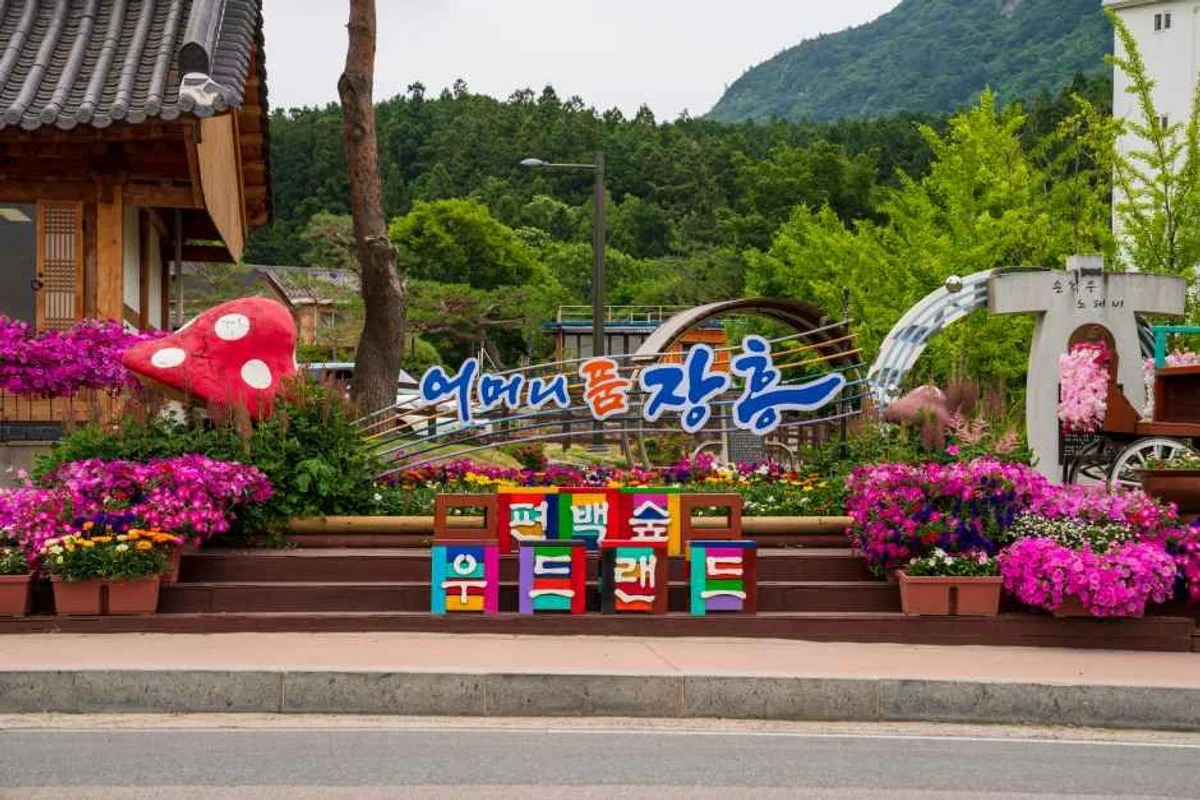 용산면 남상천 장흥군 벚꽃길 - 장흥군 벚꽃 여행