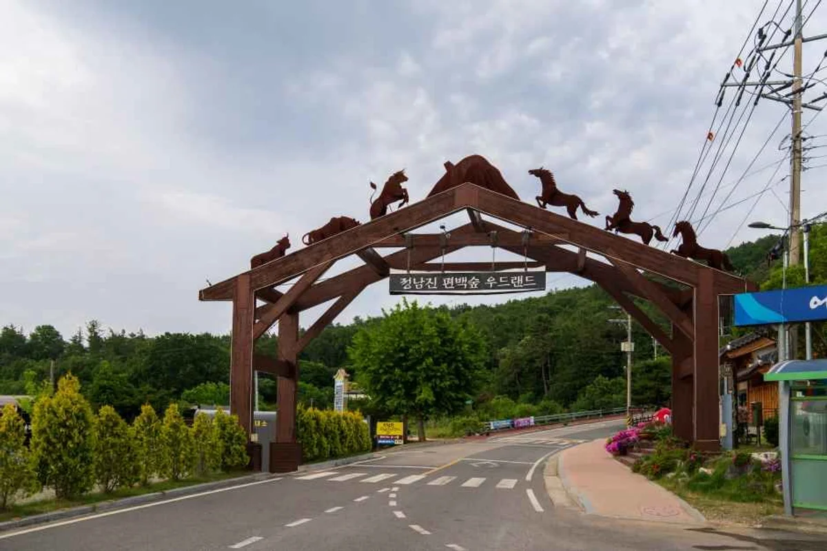 하늘빛수목정원 - 장흥군 벚꽃 여행