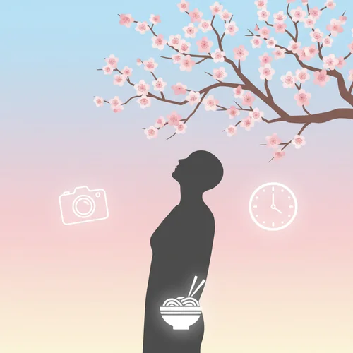 놓치지 마세요! 광양매화축제 200% 즐기는 방법