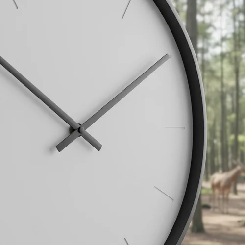 늑구 관람, 이 시간대가 최고예요! (꿀팁 대방출)