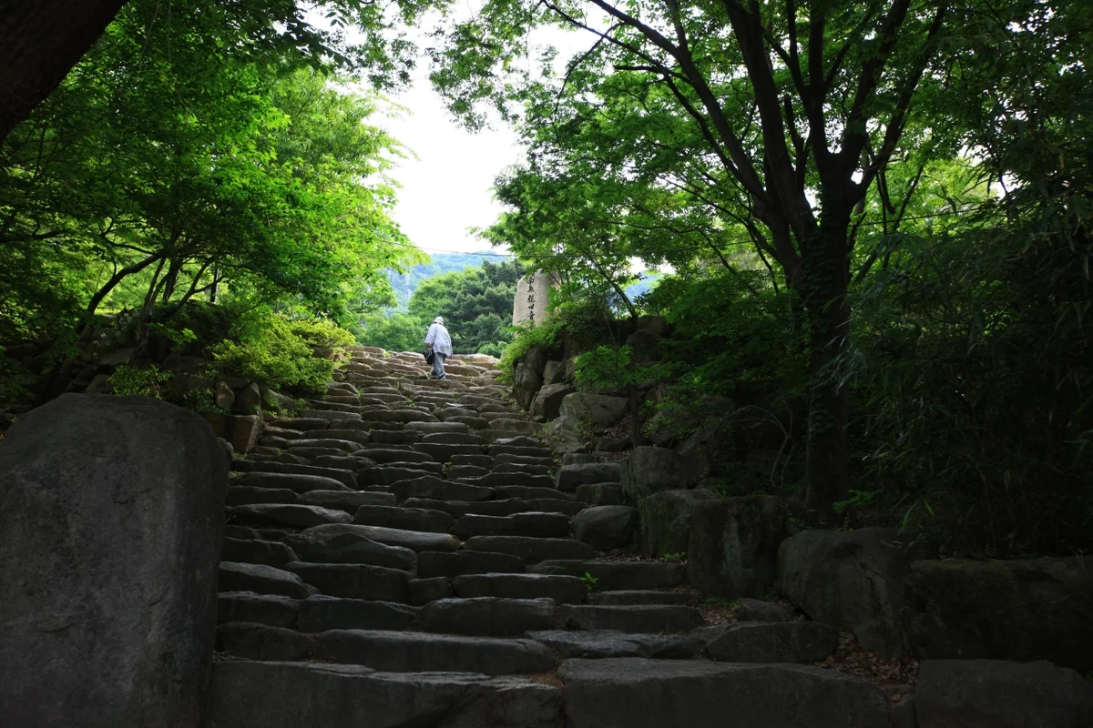 신어산 - 김해여행 여행