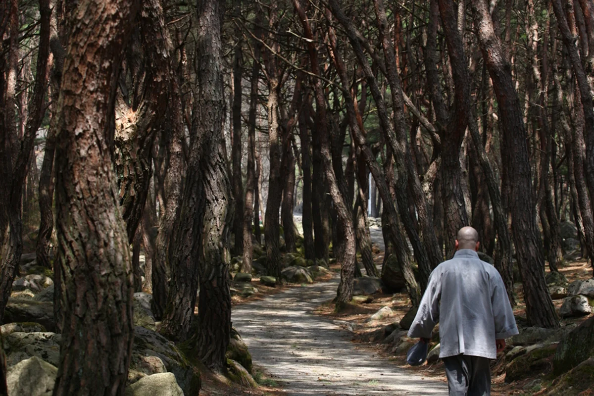 대구시민안전테마파크 - 팔공산여행 여행