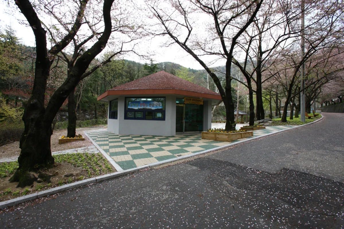 앞산 핫플레이스 (출처 : 한국관광공사)