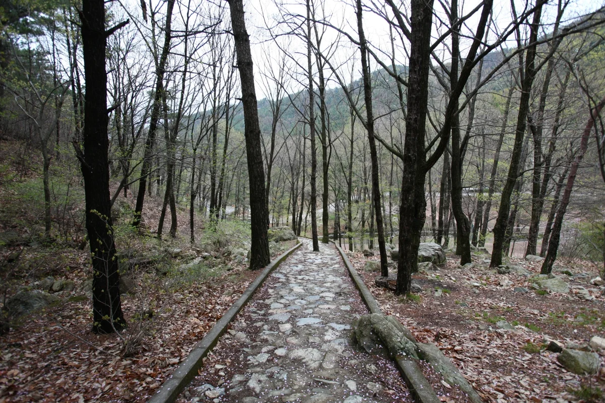 앞산 공룡공원 - 대구 앞산 여행