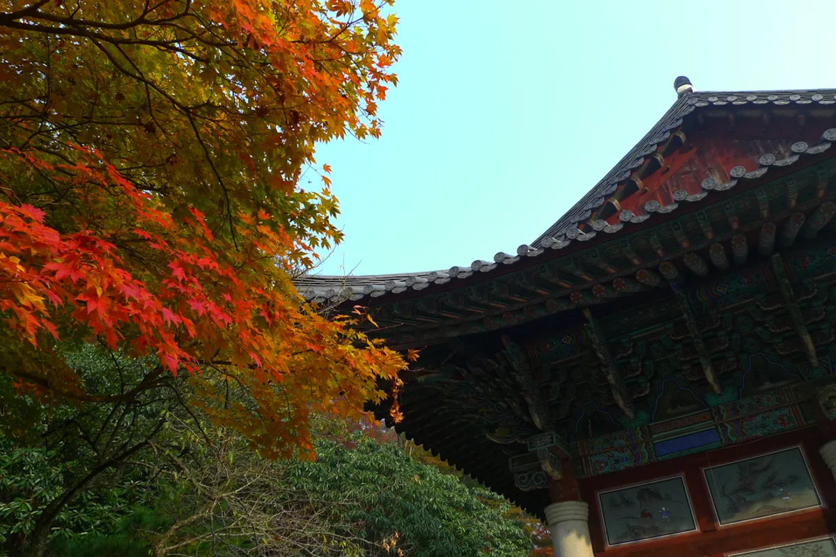 내장사 대웅전 - 내장산여행 여행