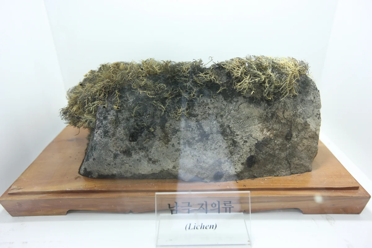 송도달빛축제공원 - 송도수상레저 여행