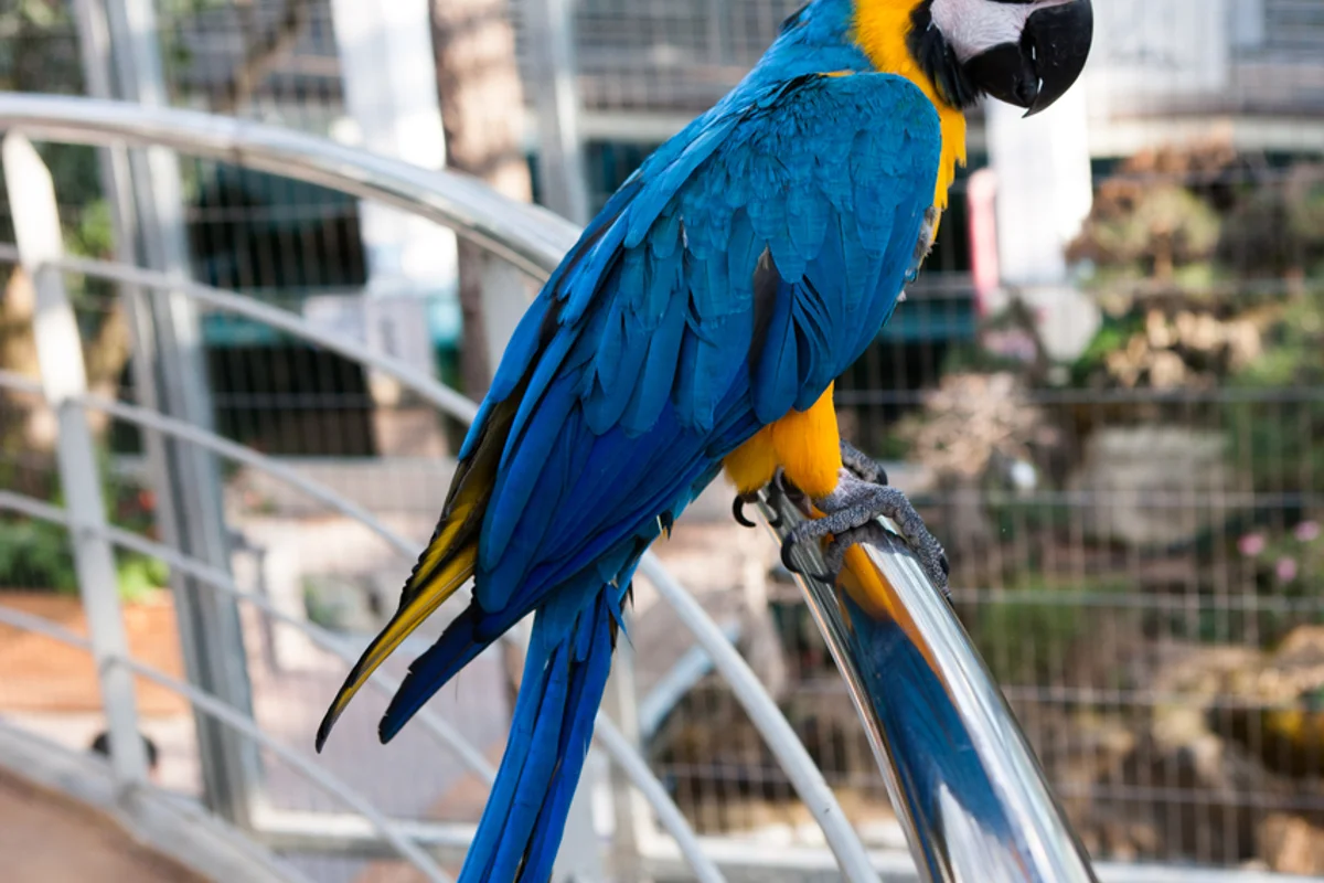 경주 버드파크 - 경주여행 여행