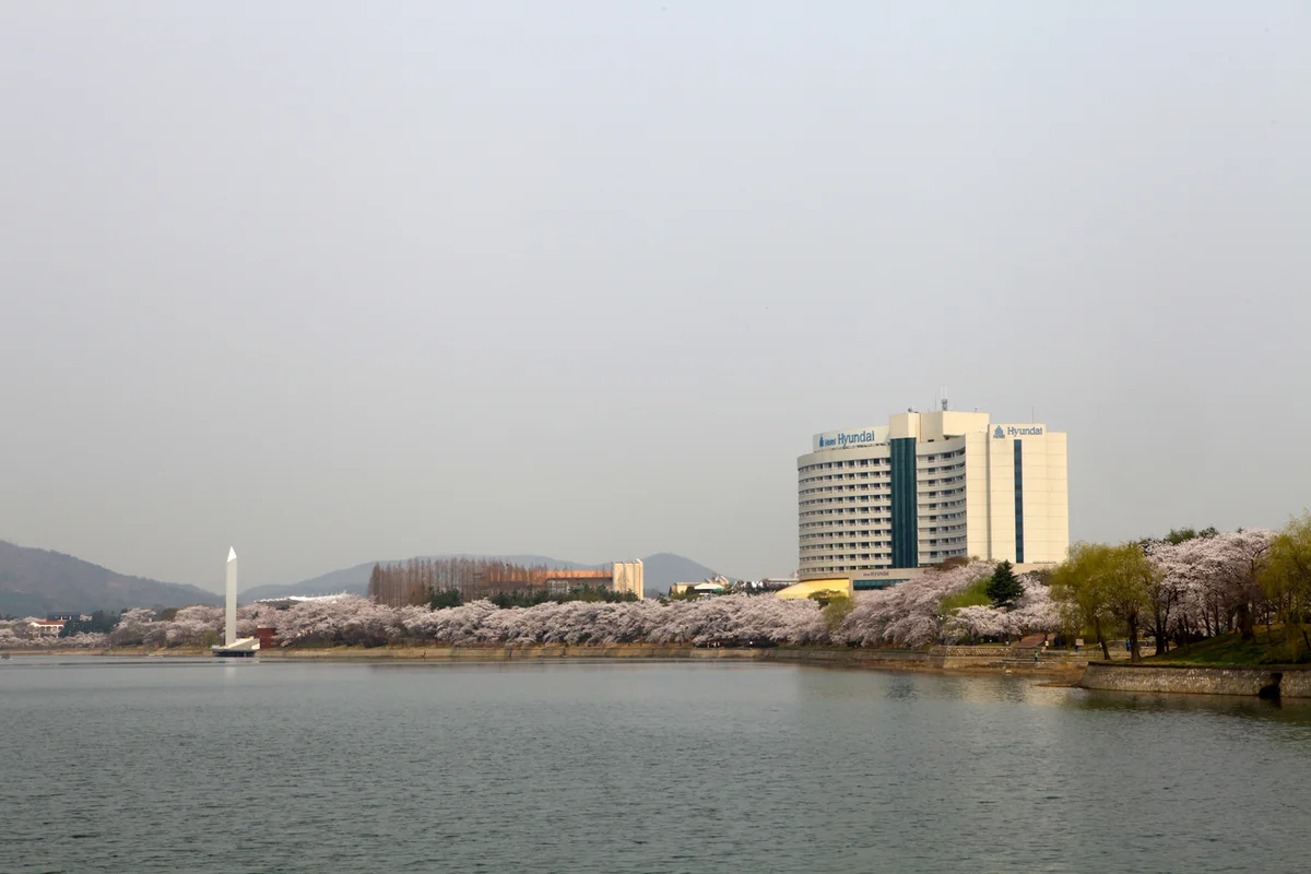 월정리 서핑 스팟 - 제주도여행 여행