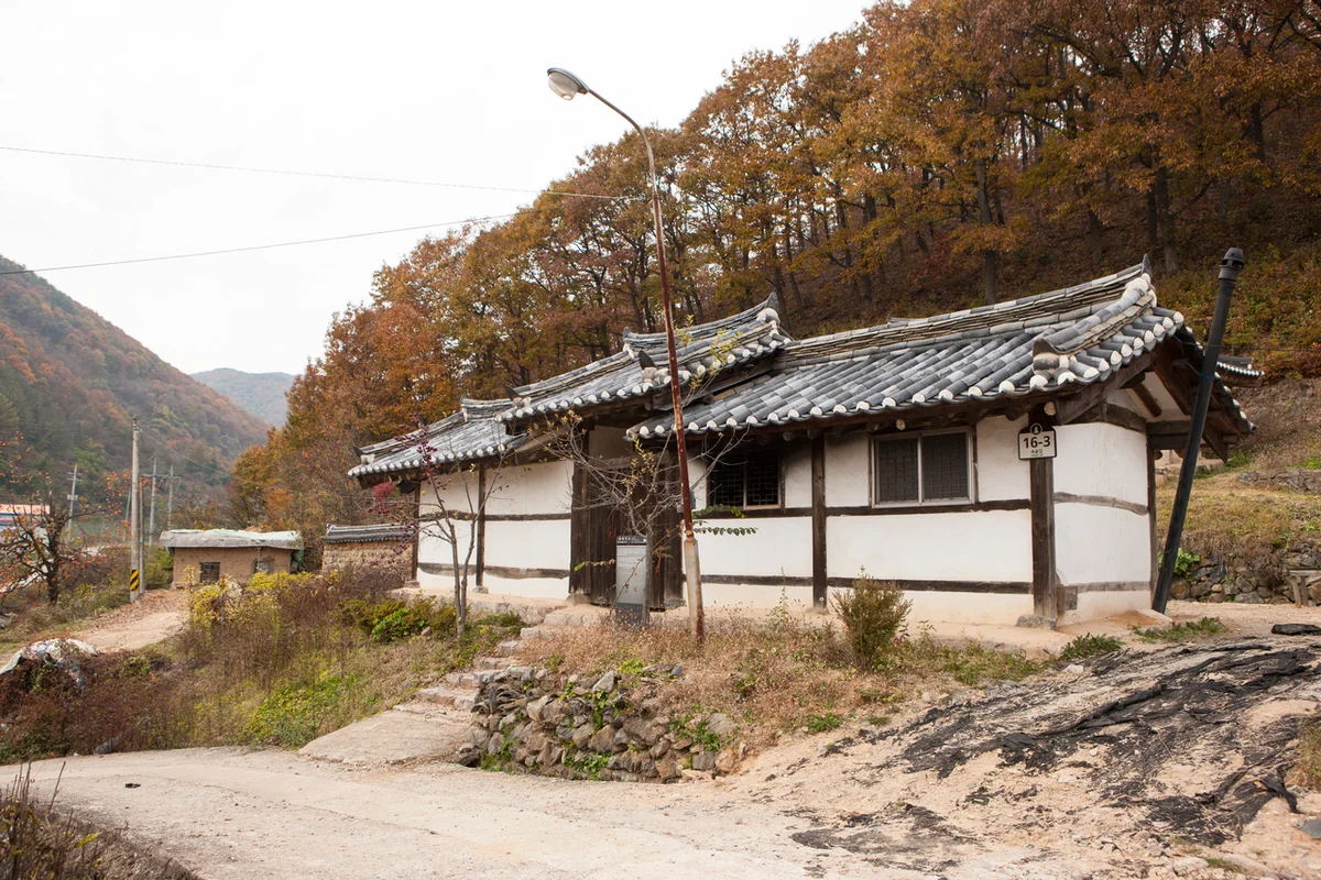 유림공원 - 대전여행 여행