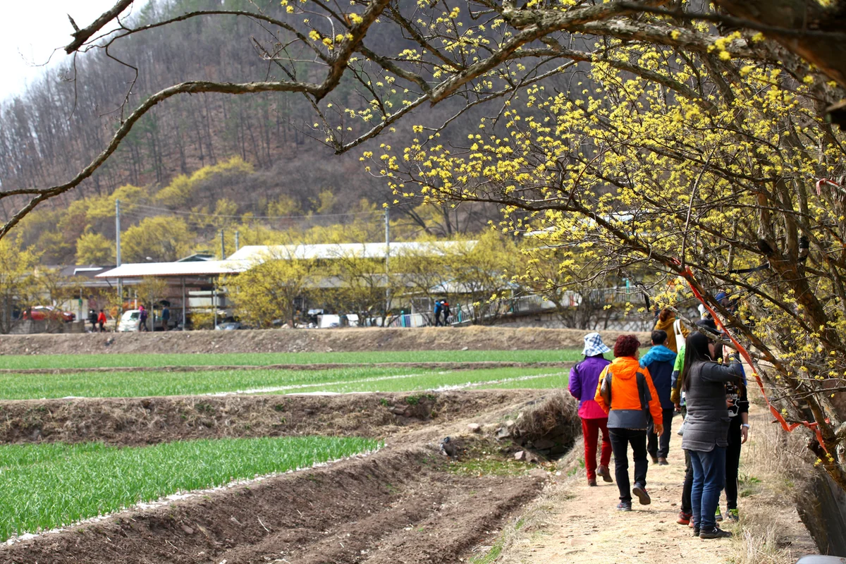 완주힐조타운 - 완주 여행