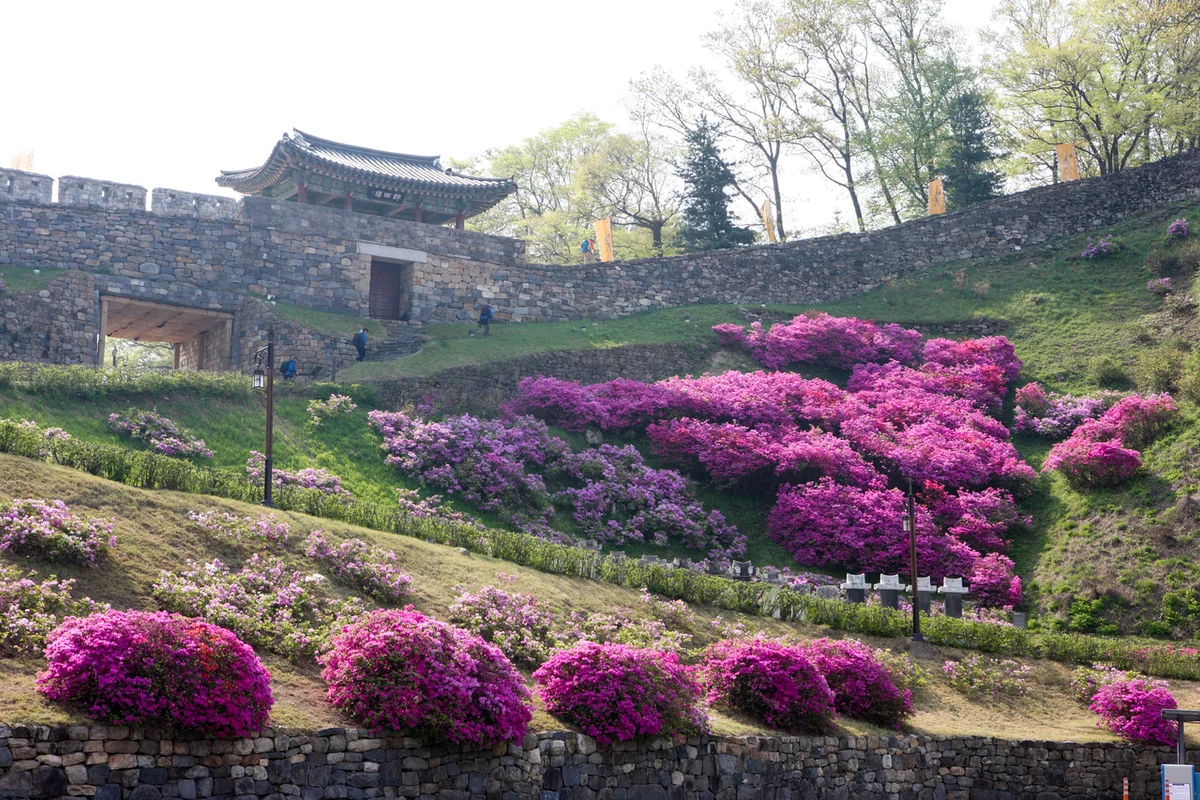 공주 공산성 - 충남여행 여행