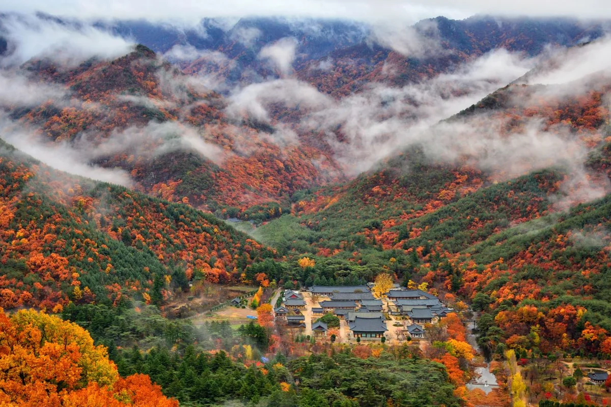 청도 짚코스터 - 청도군 여행