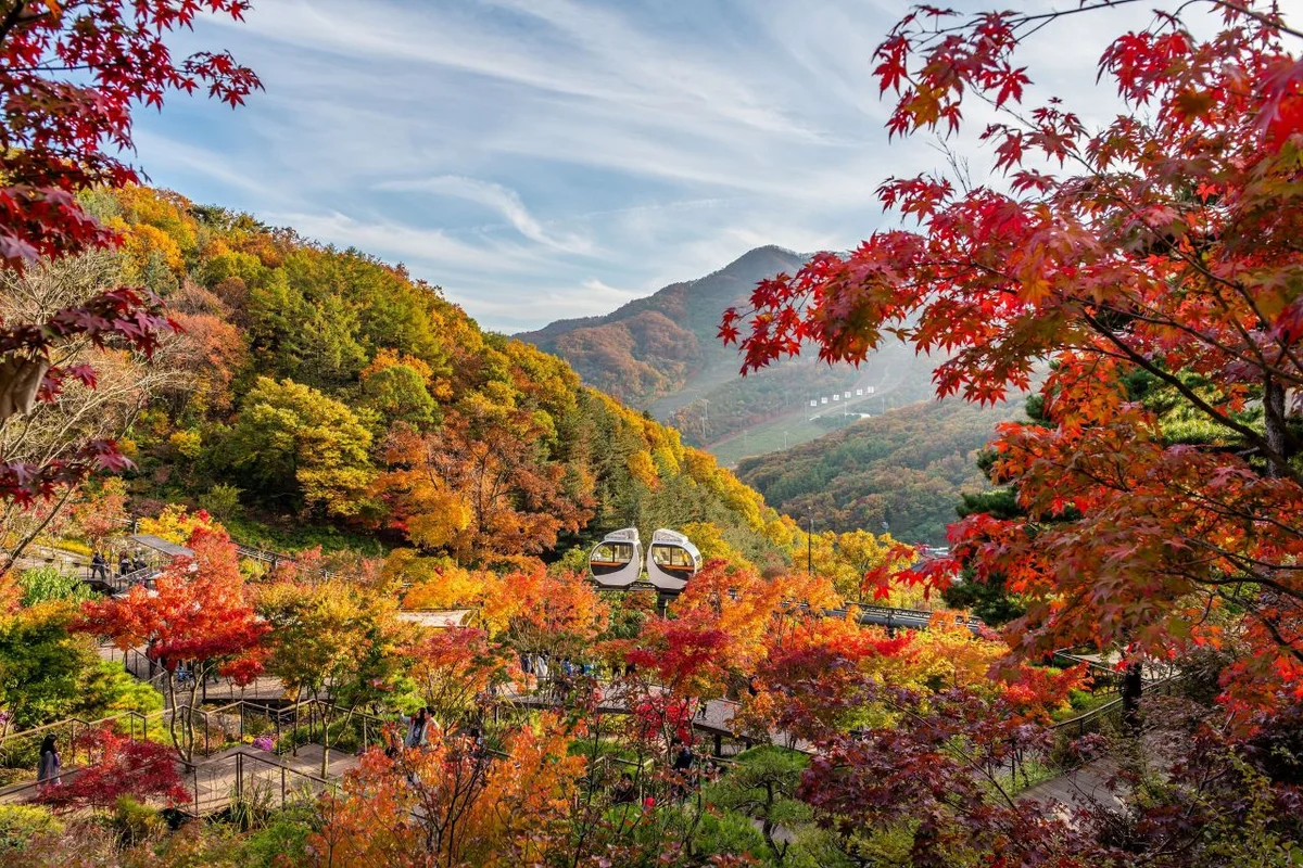 화담숲: 자연 속 힐링을 선사하는 특별한 공간 - 국내여행 여행