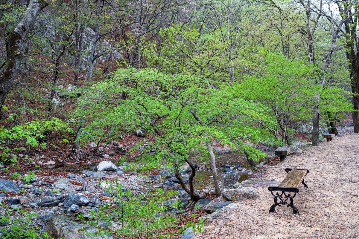 와우쥬 양산점 - 양산여행 여행