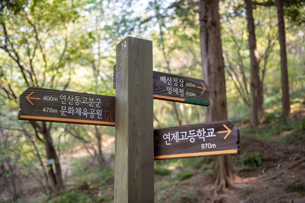 배산 - 연제구여행 여행