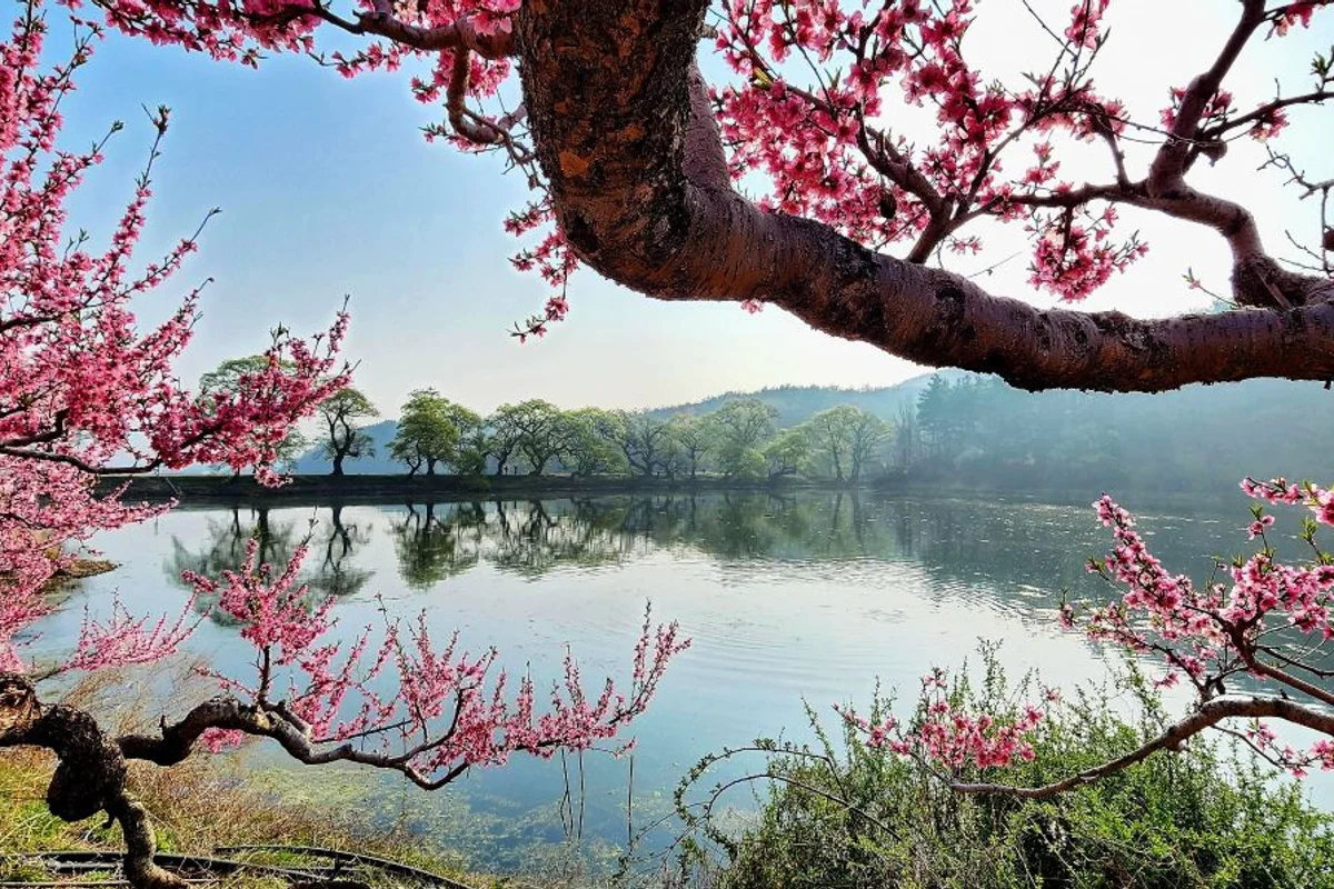반곡지 - 경산시 동물원 여행