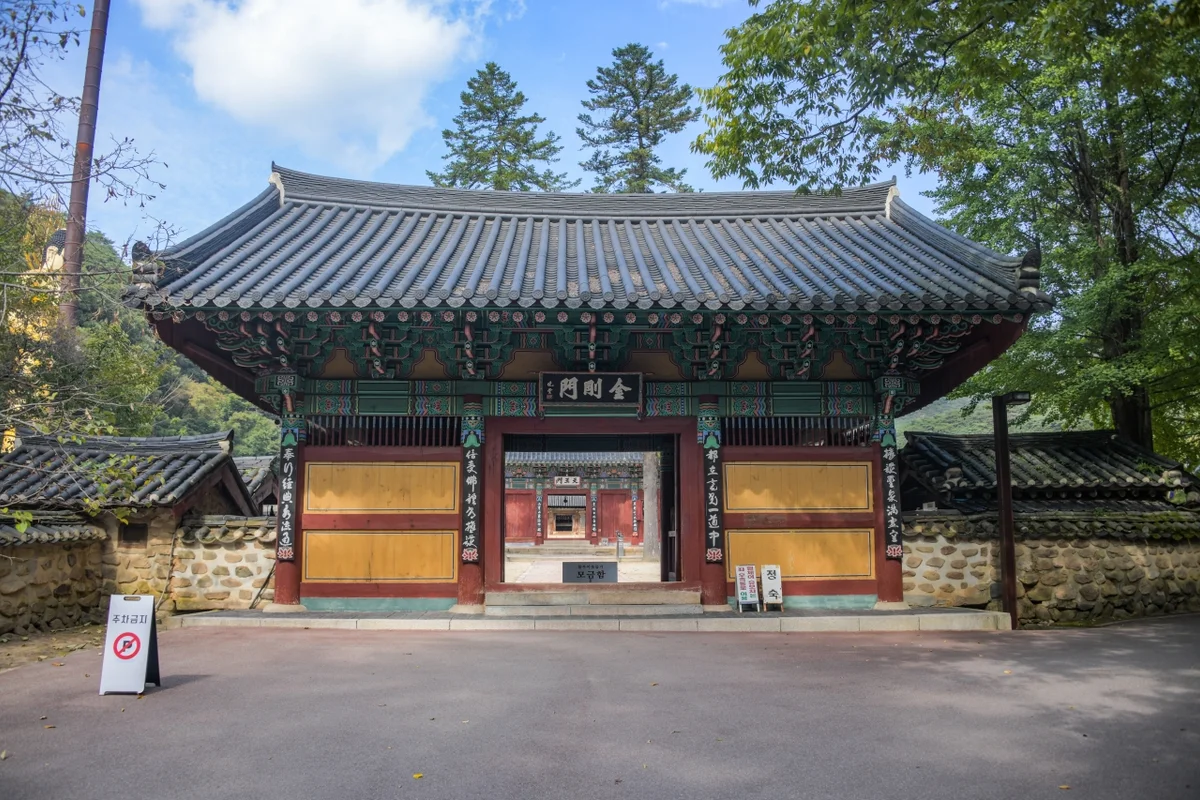 속리산 숲체험휴양마을 - 보은여행 여행