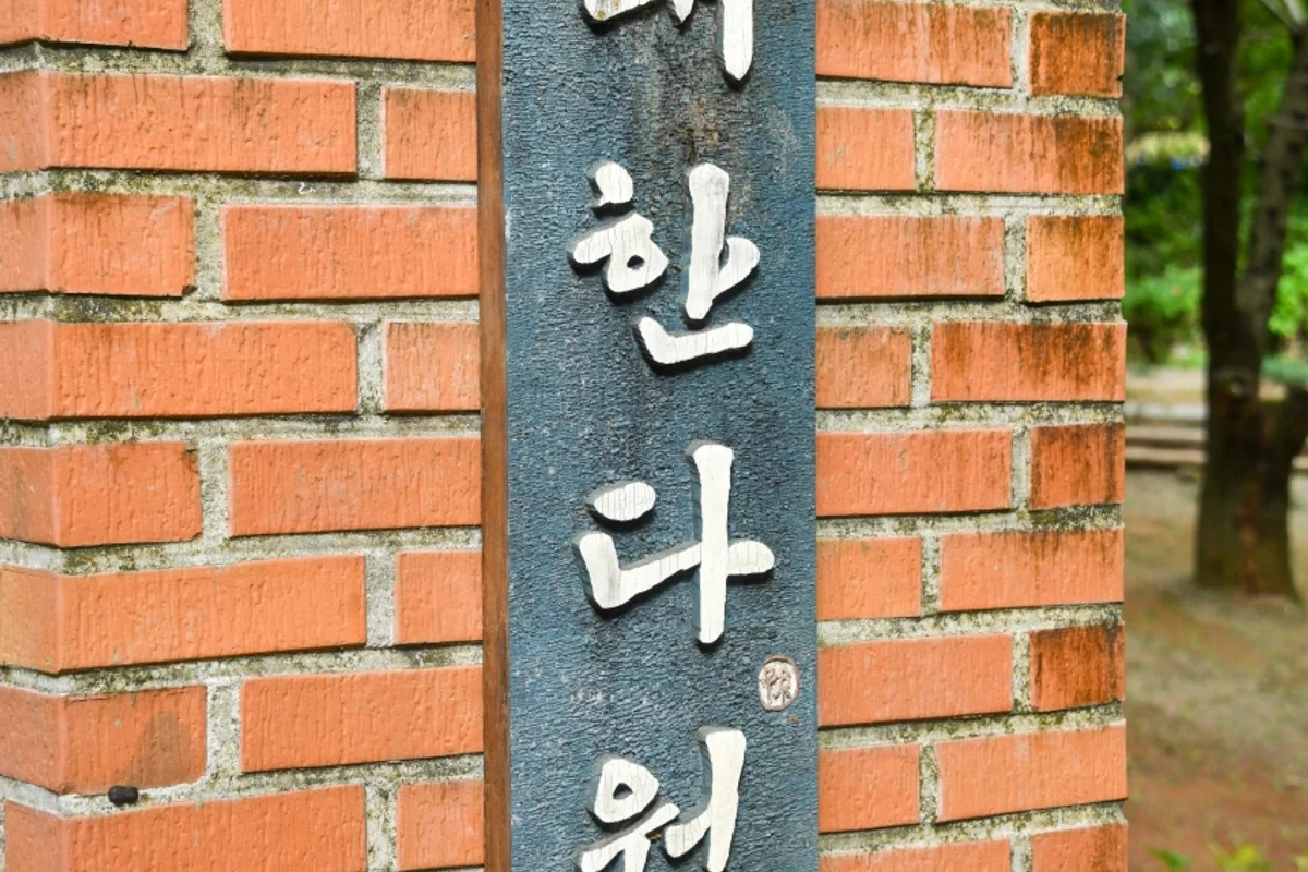 보성녹차밭 캠핑장 추천 (출처 : 한국관광공사)