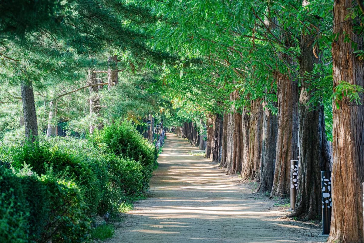 퍼스트가든 - 일산산책로 여행